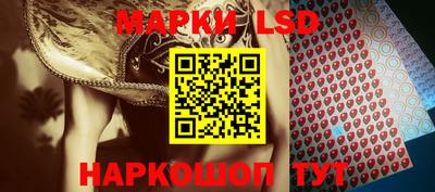 прущие грибы Новозыбков