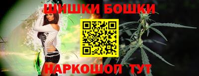 прущие грибы Новозыбков