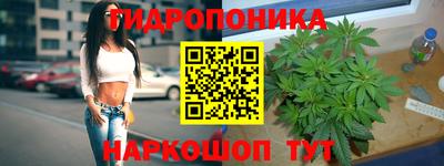спиды Нарткала