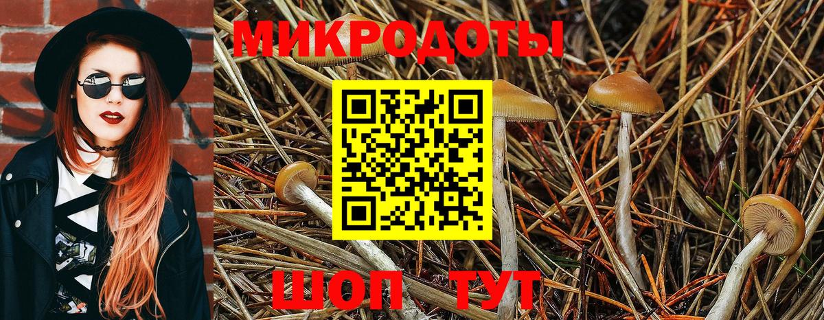 Галлюциногенные грибы прущие грибы  Вход с VPN  Сокол 