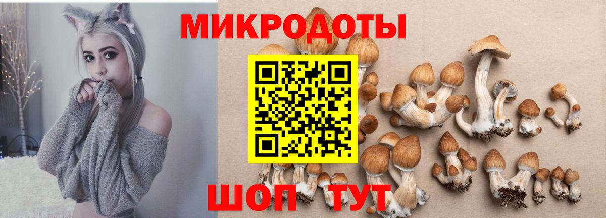 Галлюциногенные грибы ЛСД Сокол